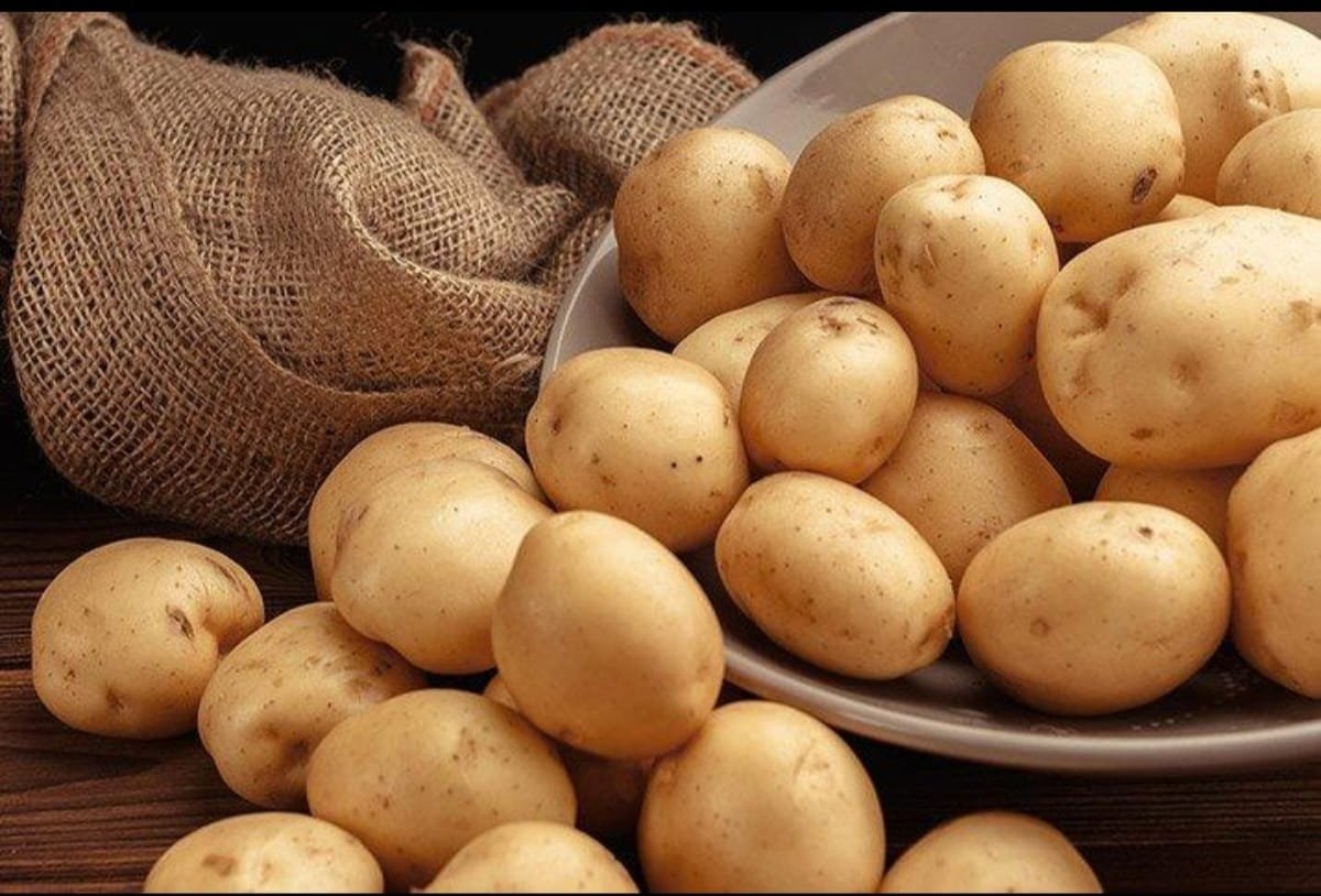 Premium Quality Potato